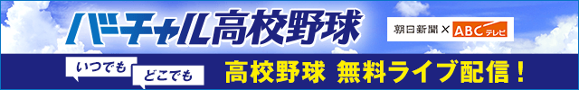�y�o�[�`�������Z�싅�z